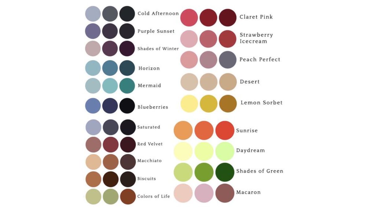 Bánh xe màu sắc phối đồ nữ