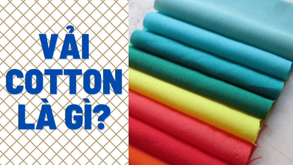Vải Cotton là gì? Nguồn gốc, Phân loại và Ứng dụng 1 Nguồn gốc vải cotton là gì